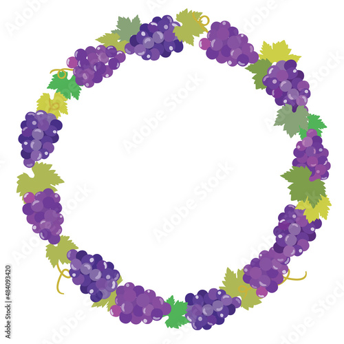 葡萄の丸いフレームイラスト