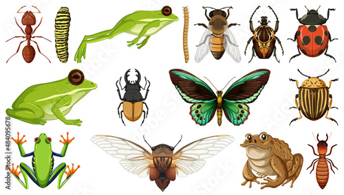 Different insects collection isolated on white background