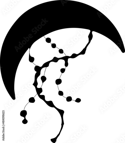 Black and white moon with the swag