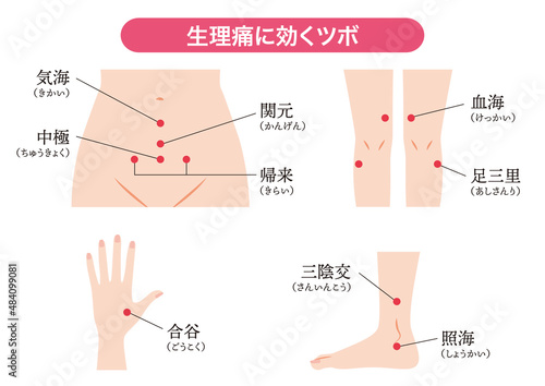 生理痛、生理不順に効くツボ