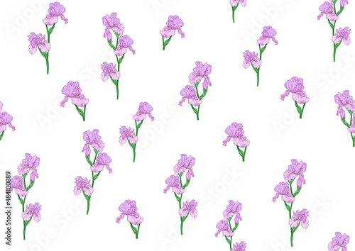 Seamless pattern with Iris flowers, purple and blue irises. Vector illustration Isolated on white background..