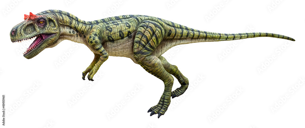 Eustreptospondylus is a carnivorous genus of a megalosaurid theropod dinosaur from the Late Jurassic period, Eustreptospondylus isolated on white background with clipping path Eustreptospondylus is a carnivorous genus of a megalosaurid theropod dinosaur from the Late Jurassic period, Eustreptospondylus isolated on white background with clipping path