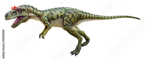 Eustreptospondylus is a carnivorous genus of a megalosaurid theropod dinosaur from the Late Jurassic period, Eustreptospondylus isolated on white background with clipping path photo