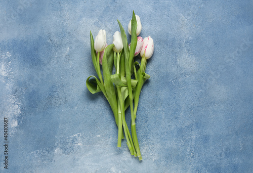 Fresh tulip flowers on color background