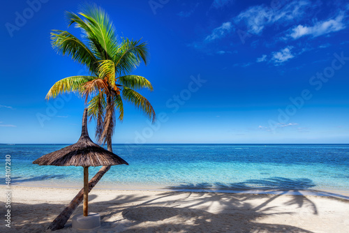 Tropical Beach. Palm tree and umbrella in paradise sunny beach and blue ocean.