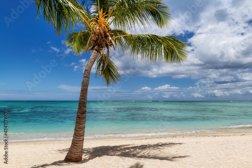 Fototapeta Naklejka Na Ścianę i Meble -  Tropical Sunny Beach. Sandy beach with palms and turquoise sea. Summer vacation and tropical beach concept.	