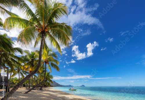 Fototapeta Naklejka Na Ścianę i Meble -  Paradise beach resort with palm trees and and tropical sea in Mauritius island. Summer vacation and tropical beach concept.