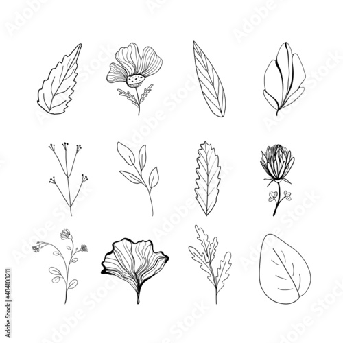Set of flowers and leaves in doodle style. Vector illustration, isolated objects.