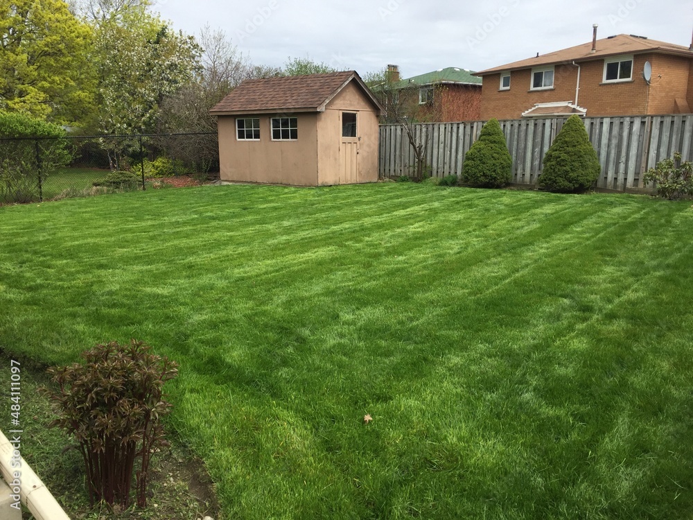 Obraz premium Brampton Home