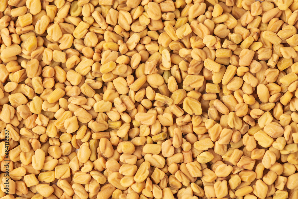 Texture of yellow fenugreek seeds or shambhala, helba seeds as food background. Fenugreek is traditional Indian seasoning and ingredient of Ayurvedic food Texture of yellow fenugreek seeds or shambhala, helba seeds as food background. Fenugreek is traditional Indian seasoning and ingredient of Ayurvedic food