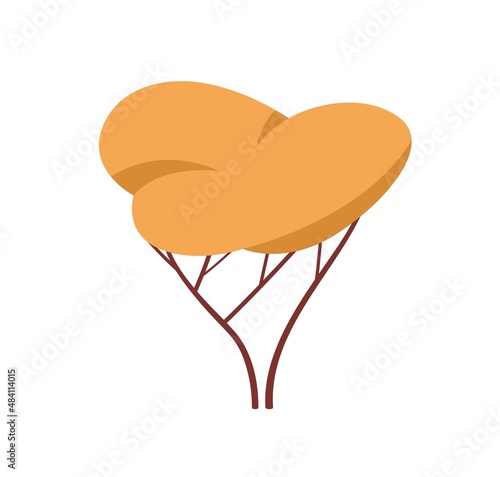 Autumn forest tree with fall orange crown. Wood deciduous leafy plant with tr...