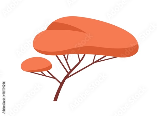 Deciduous autumn forest tree with lush orange crown and trunk. Wood foliage p...