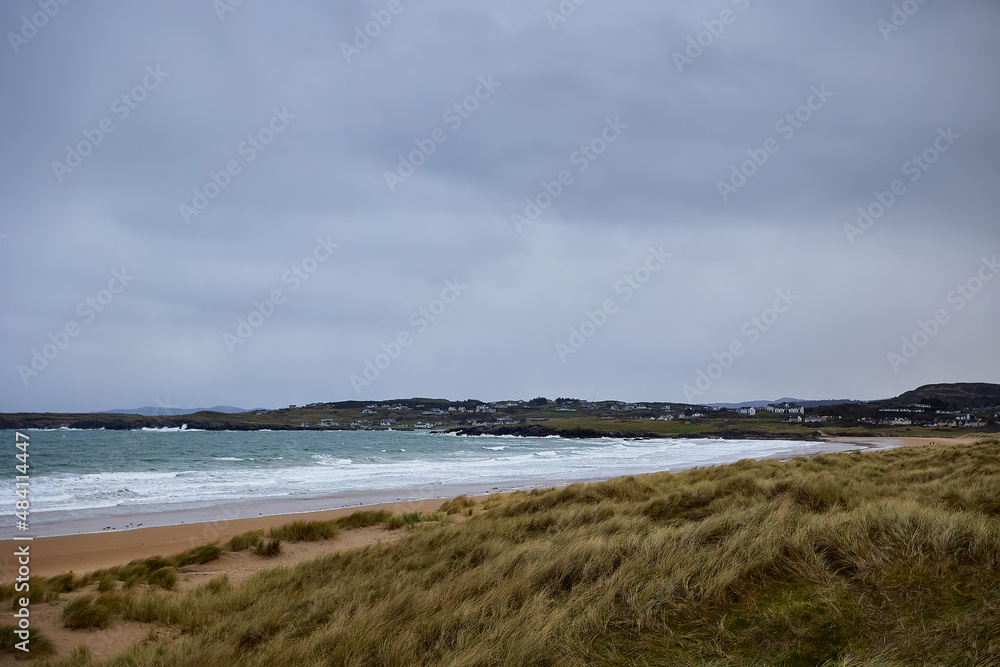dune and beach with lots of vegetation in the process of restoring its natural habitat, Killahoey Strand near Dunfanaghy, Donegal, Ireland. wild atlantic way
