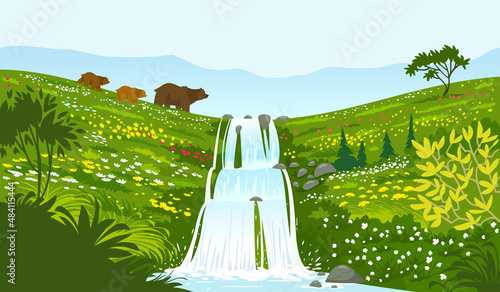 Waterfall and bears