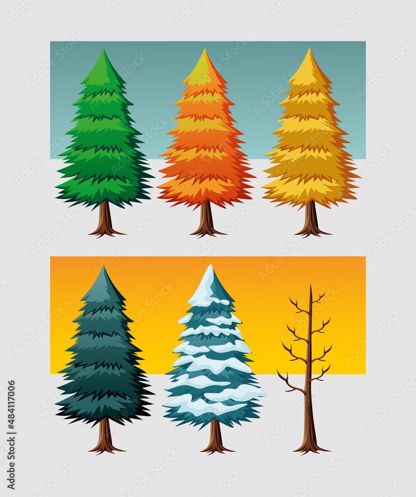 Obraz premium illustration of pine trees in different seasons