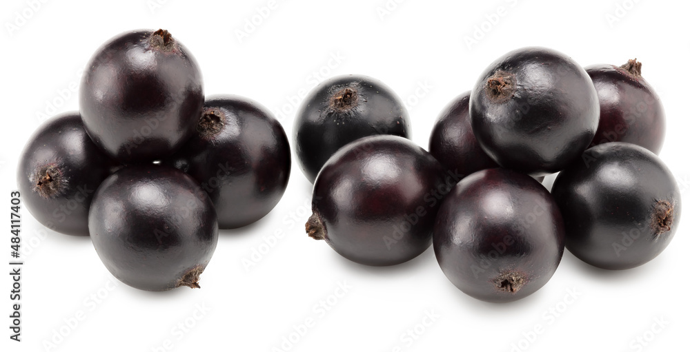 black currant isolated on white background. macro. clipping path black currant isolated on white background. macro. clipping path