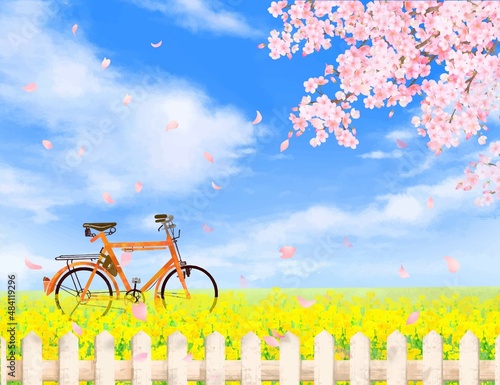 青空の下、菜の花の咲く河川敷に自転車と美しく華やかな花びら舞い散る春の桜のフレーム背景素材
