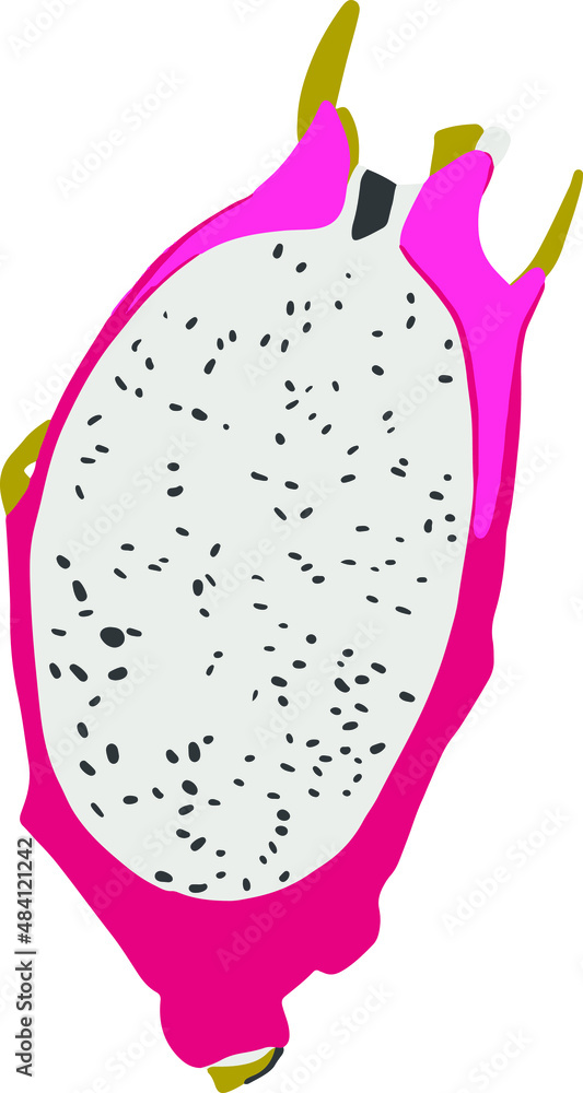 Isolated vector colourful pitaya. Half of dragon fruit in cartoon style Isolated vector colourful pitaya. Half of dragon fruit in cartoon style