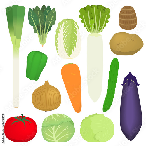 指定野菜のイラスト