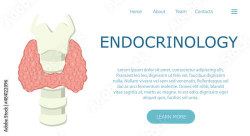 Endocrinology template and banner. Flat vector illustration. Medical treatment and healthcare clinic landing page.