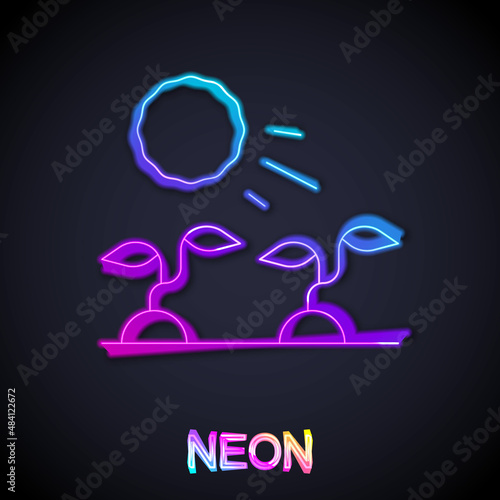 Glowing neon line Plant sprouts grow in the sun icon isolated on black background. Seedling concept. Vector