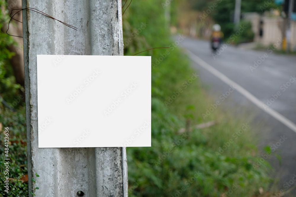 Empty billboard on side of road with green forest background. Advertising blank, mock up, copy space for your advertisement or promotion text