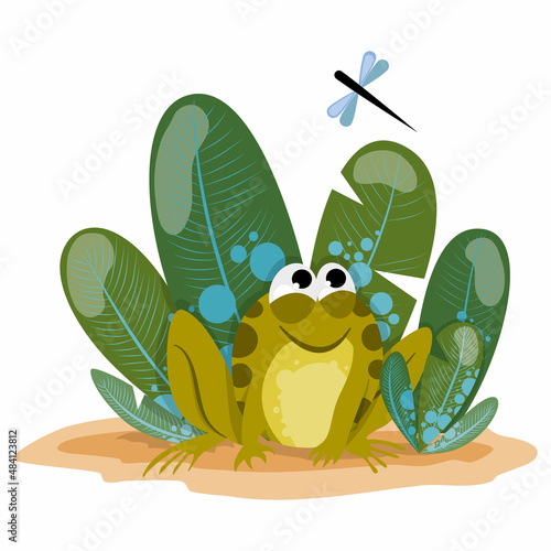 A funny cartoon frog sits in thickets of tall grass and looks at a flying dragonfly. Good illustration for children. Vector illustration with frog
