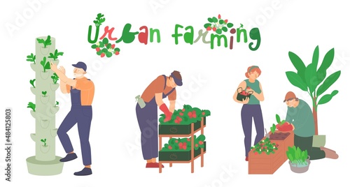 Urban farming, gardening. Flat characters. Editable vector illustration