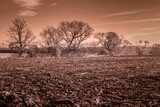 pola i drzewa na fotografii w podczerwieni