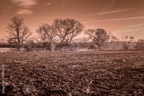 pola i drzewa na fotografii w podczerwieni