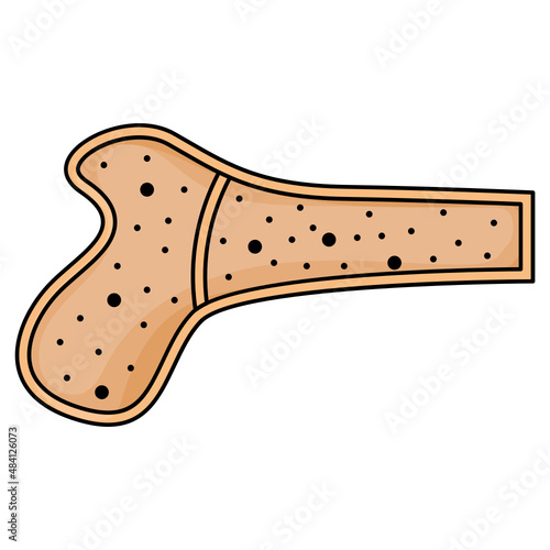 Stem Cells Vector color Icon Design, Organ System Symbol, Human Anatomy Sign, Human Body Parts Stock illustration, Bone Marrow Concept, 