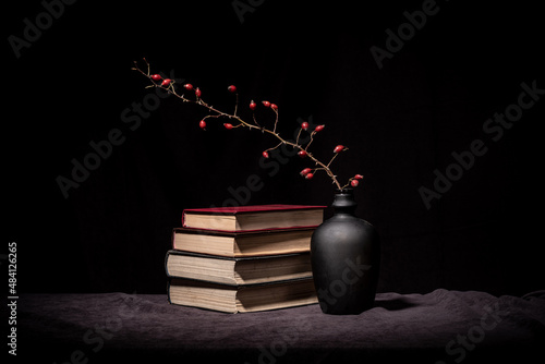 kompozycja minimalistycznej martwej natury z dziką różą na czarnym tle