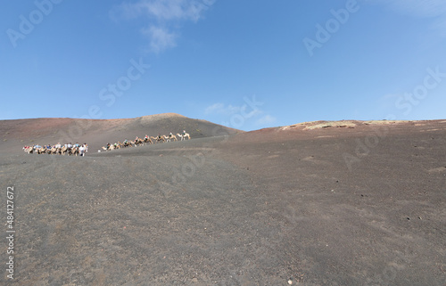 Tourists riding camel at Timanfaya parque with volcano El Curvo on the background in Lanzarote  Canary Islands  Spain