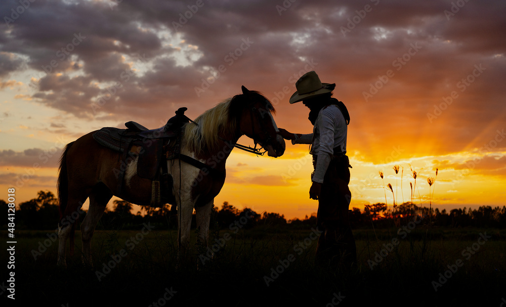 Fototapeta premium cowboy man american west with horse in rice field time shadow sunlight.