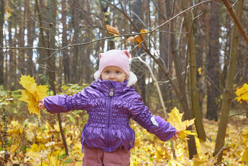 child in a purple jacket walks through an autumn park with yellow maple leaves.