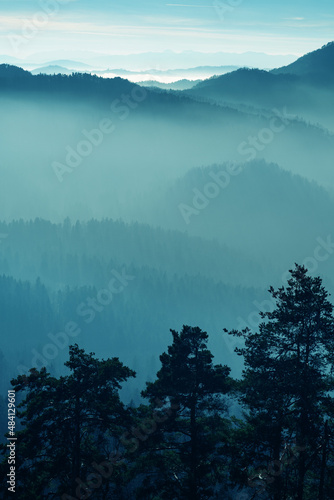 Layers of misty forest and mountain ranges with silhouette of treetops in foreground