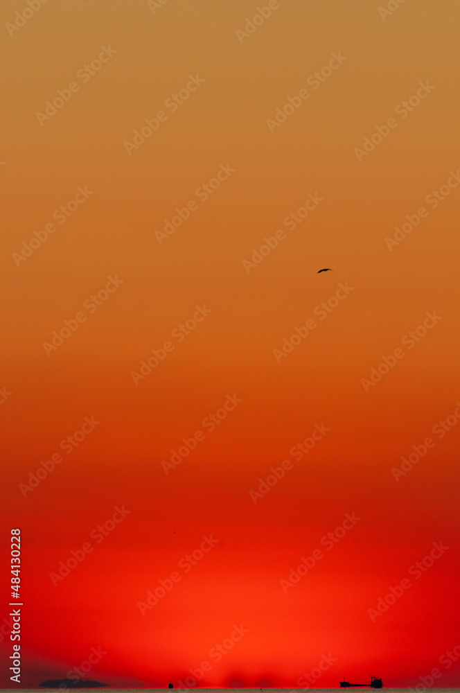 Brightly glowing orange sky over sea right after sunset with visible cargo ship in distance and seagull in the sky in Adriatic sea in Croatia