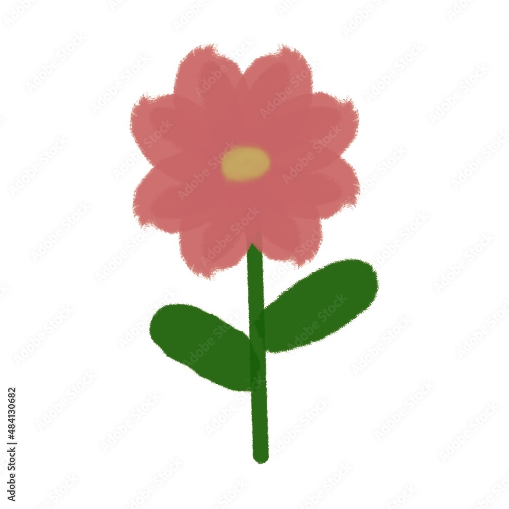pink flower on isolated white pink flower on isolated white