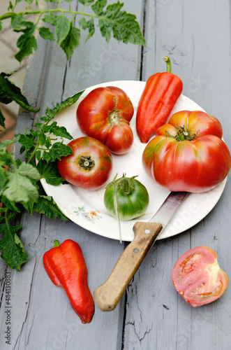 ripe seasonal tomatoes on a plate in the garden