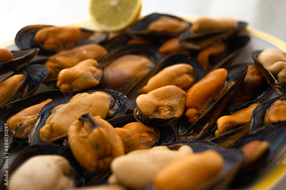 Mussels steamed just for eating in a blue dish. selective focus Mussels steamed just for eating in a blue dish. selective focus