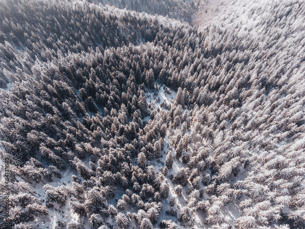 beautiful winter in Carpathian mountain beautiful winter in Carpathian mountain
