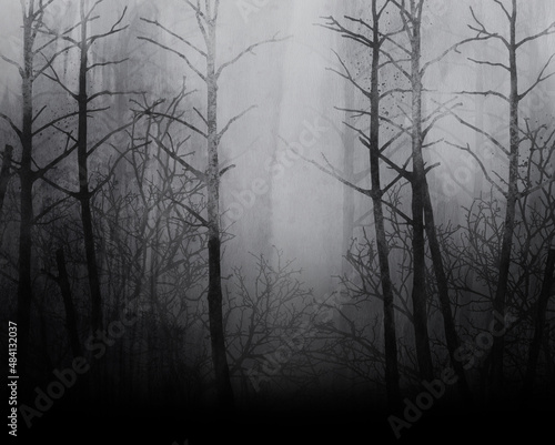 Dark forest. Black and white illustration. Grunge texture.