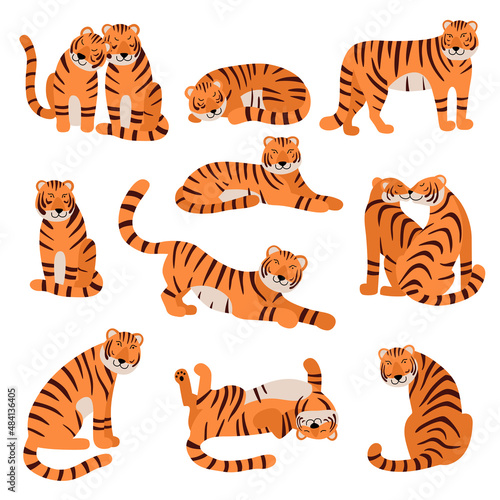 Fototapeta Naklejka Na Ścianę i Meble -  Cute Tigers set. Cartoon Tiger characters in different poses. Stand, run, sit, lie down animal. Hand drawn flat vector illustration isolated on white. For children decor, nursery design, banner.