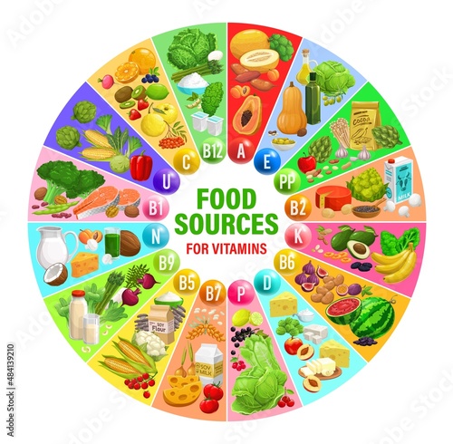Food sources of vitamins and minerals. Healthy food chart or vector wheel scheme with dried fruits, fresh vegetables and berries, fish meat seafood, cereals and nuts, dairy and soy beans food products