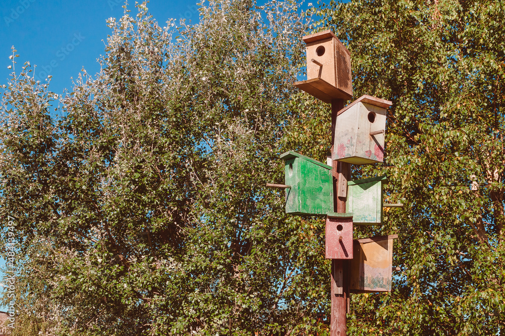 Many birdhouses hang on one post. Placement of bird houses in a nature reserve or park