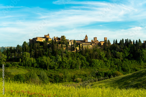 The historic city of Certaldo Florence seen with green wheat field