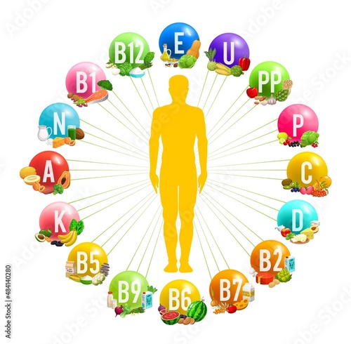Circle infographics chart with human body and vitamins or minerals source. Healthy nutrition and dieting vector scheme with man silhouette, basic vitamins and minerals contents in food products