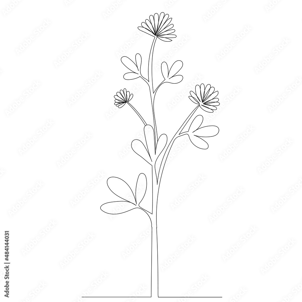 flower, plant one line drawing ,vector, isolated