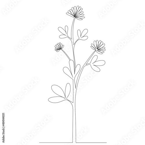 flower, plant one line drawing ,vector, isolated