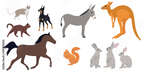 animals set flat design on white background isolated, vector